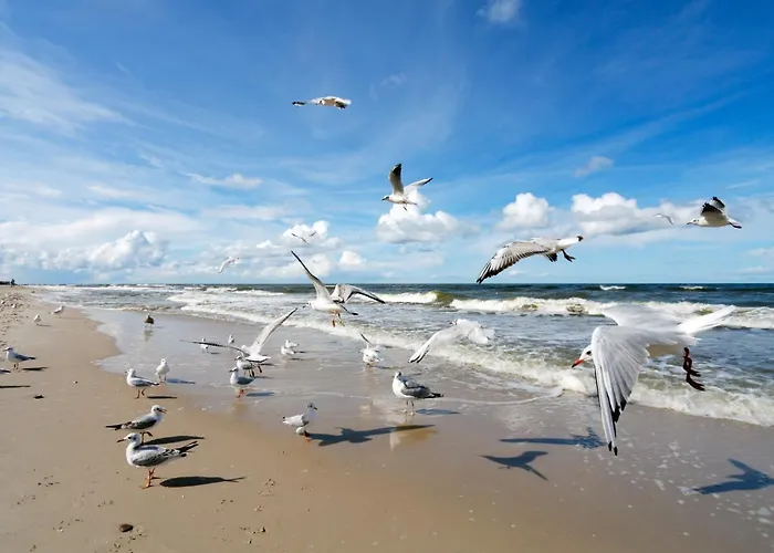 Pet friendly Ss Beach Home By Real Life Concierge Portimao