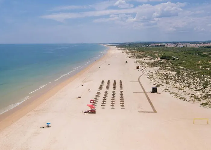 Apartamento Praia Altura aceita animais de estimação