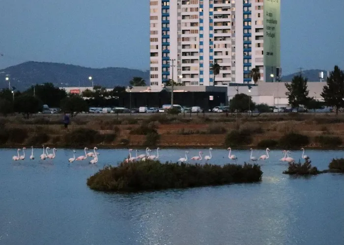 Sea View Urban Apartment District de District de Faro