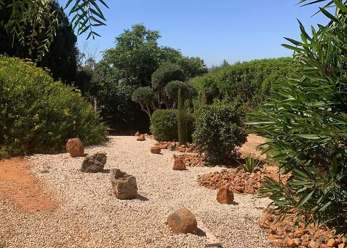 Quinta Falzina Luz