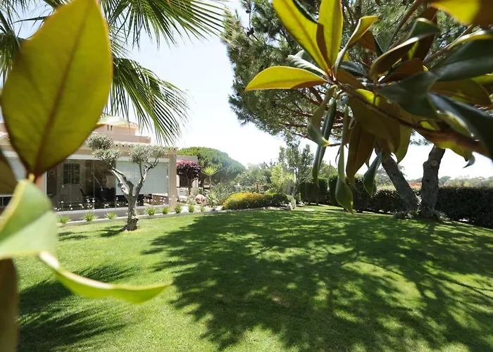 Quinta Do Pinheiro Manso - Holidays Villa - Marinha Beach Carvoeiro  admite animales